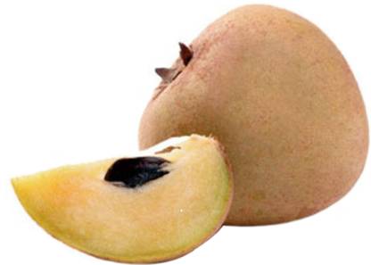 Sapota Pack Of 6
