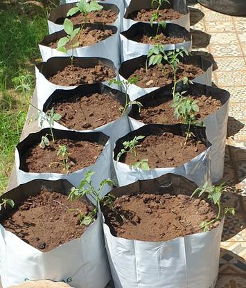 eCoins Gardening Grow Bag 40*24*24 CM, LDPE, Pack of 10, 150 Micron, Terrace Gardening Grow Bag