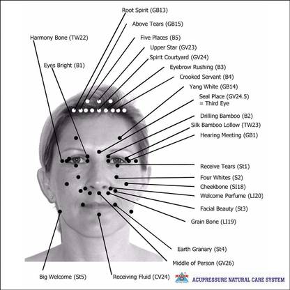 ANCS Face kit-001 Acupressure Face Chart Massager