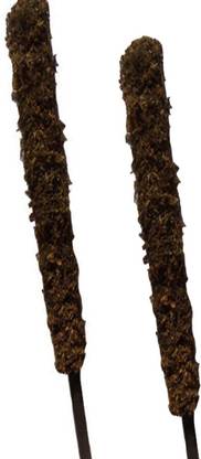 PRMAAN Moss Sticks Green Grass Pole for Plants Support Moss Pole All Type Indoor and Outdoor Plants 2.5ft Pole (2pc Moss Sticks) Garden Mulch