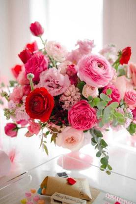 SIDDHI VINAYAK GALLERY Ranunculus Flower Bulbs, World Famous, Worth Planting, High Germination Rate, Exquisite Cut Flower Bulbs For All Season India ( Pack Of 3 Flower Bulb) Seed