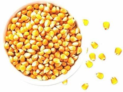 Freshtige Popcorn Kernels (Ready to Cook, Unpopped, Original Makkai Seeds) NA Popcorn