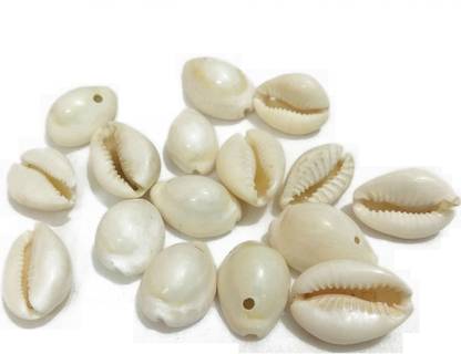 DeysCraft White Glossy Cowrie/Kawdi/Kaudi/Kauri/Kori/Cori Shell for Jewellery Making (Pack of 100 Pieces)