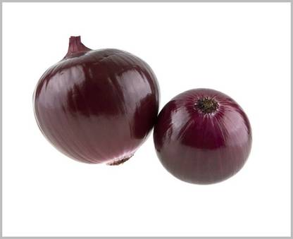 GARDENHUNT Onion Black, Large Onion Seed
