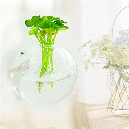 MAGICMOON Crystal Clear Glass Wall Aquarium, Wall Vase For Home Decor - Pack of 1, 5 Inch Glass Vase