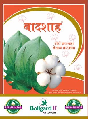 BOLLGARD Cotton seed Seed