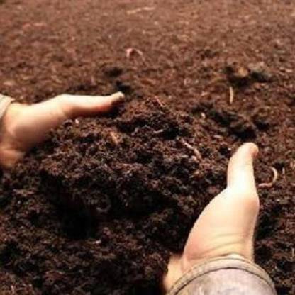 Ecogreen Organic Vermicompost Manure