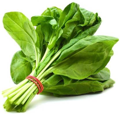Fresh Spinach