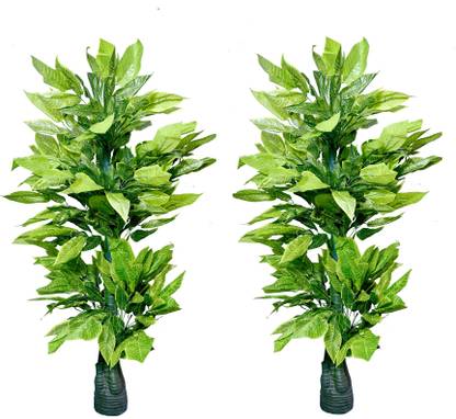 KAYKON 2 Artificial Tree Big Green Karotan Plant Without Pot For Home Decor Office Hotel Decoration - 5 feet/150cm Artificial Plant