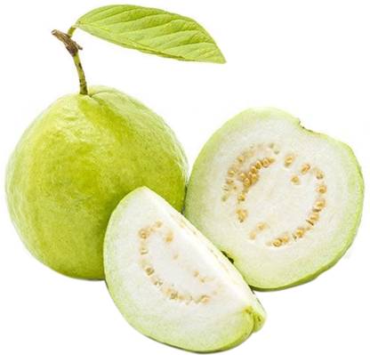 Guava Premium