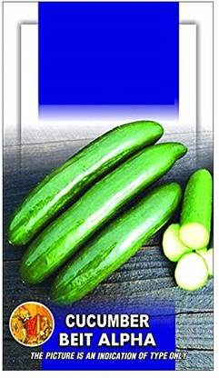 ActrovaX Cucumber Beit Alpha (Imported) Vegetable [8000 Seeds] Seed