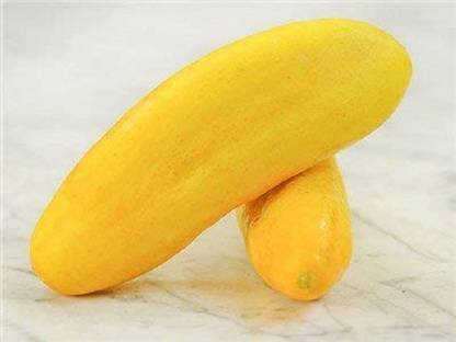 ActrovaX HUA Yellow Indian Cucumber - Cucumber Sambar [1000 Seeds] Seed