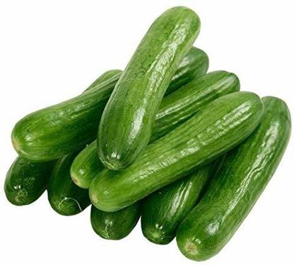 Qualtivate ® cucumber seeds (khira)(75 Seeds) Seed