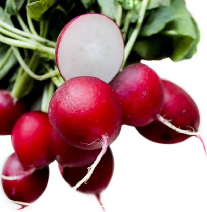 Radish Red