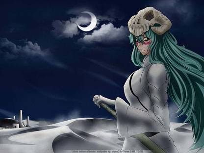 Bleach Nelliel Tu Odelschwanck Matte Finish Poster Paper Print