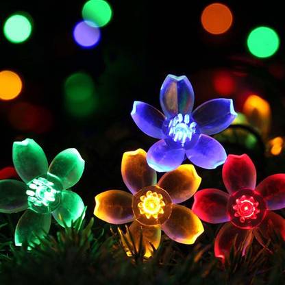 Ascension 16 LEDs 3 m Multicolor Steady Flower Rice Lights