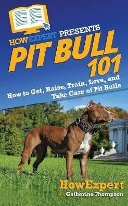 Pit Bull 101