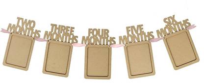Life Boost 1 To 12 Months Birthday Photo Banner Birthday Themed Party Decorative Picture Frame Hanging Prop For Newborns Banner (0.81 ft, Pack of 1) Banner