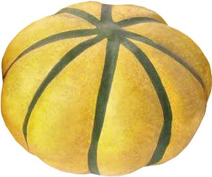 Qualtivate ® Organic Cucurbita Moschata Squash Pumpkin Seeds Seed