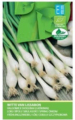 CYBEXIS Spring Onion White LISBON Seeds1000 Seeds Seed