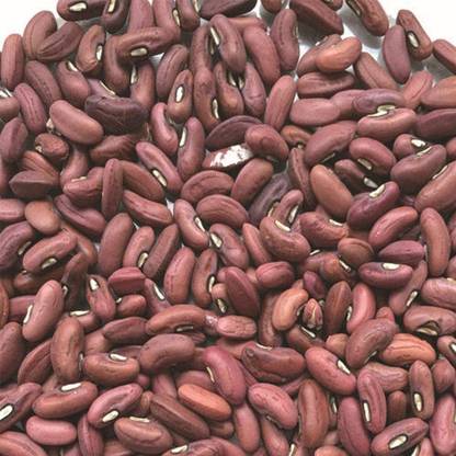 Qualtivate ® Heirloom White Yard Long Bean Seeds Seed