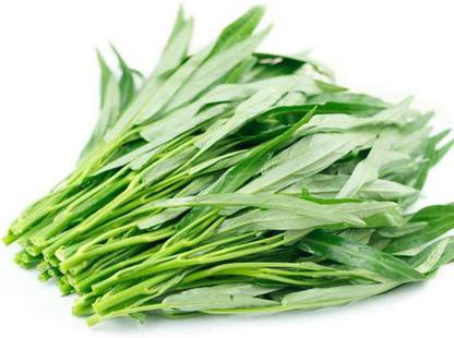 Qualtivate ™ Chinese Water Spinach Seeds Seed