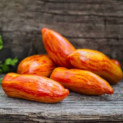 CYBEXIS Rare Tomato Seeds-250 Seeds Seed