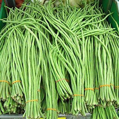 Qualtivate ™ Cowpea Seeds Heirloom Yard Cowpea Seeds Long Beans Seeds Seed