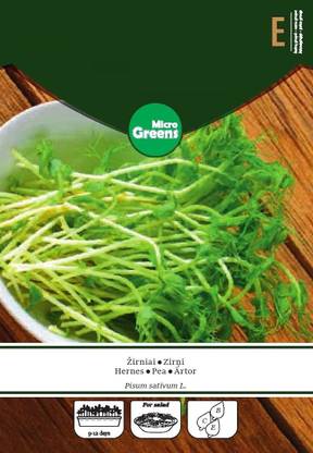 CYBEXIS Pea MICROGREENS Seeds-200 Seeds Seed