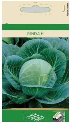 CYBEXIS White Cabbage RINDA H Seeds1000 Seeds Seed