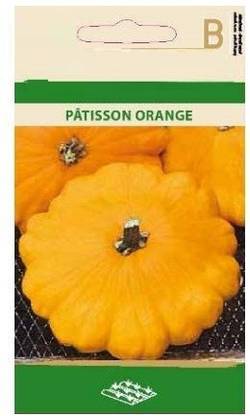 CYBEXIS Patisson Orange Squash Seeds-50 Seeds Seed