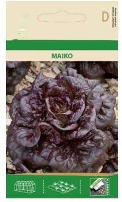 CYBEXIS Lettuce MAÏKO Seeds-500 Seeds Seed