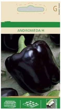 CYBEXIS Sweet Pepper Capsicum Black Seeds Andromeda H -300 Seeds Seed