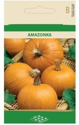 CYBEXIS Pumpkin AMAZONKA Seeds100 Seeds Seed