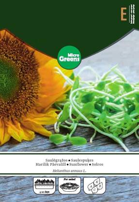 CYBEXIS Sunflower - MICROGREENS Seeds-50 Seeds Seed