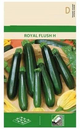 CYBEXIS Zucchini Squash Royal Flush H, Green Seeds100 Seeds Seed