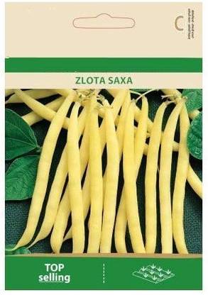 Qualtivate ® Dwarf French Bean ZLOTA SAXA Seeds Seed