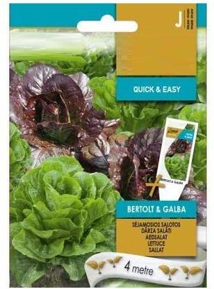 Qualtivate ® Lettuce Bertolt GALBA Seeds Seed