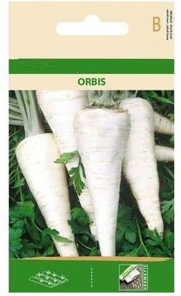 CYBEXIS Parsley ORBIS Seeds-350 Seeds Seed