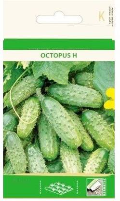 Qualtivate ™ Cucumber Gherkin OCTOPUS H Seeds Seed