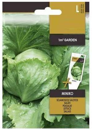 CYBEXIS Lettuce MINIKO Seeds1000 Seeds Seed