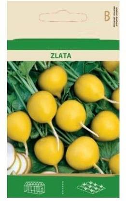 Qualtivate ™ Radish Yellow ZLATA Seeds Seed