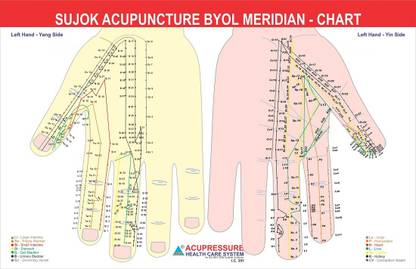 Sujok Byol Meridian Chart Paper Print