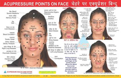 Face Reflexology Chart - Face