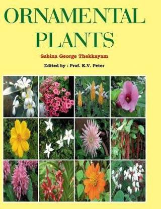 Ornamental Plants