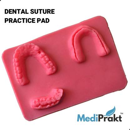 MediPrakt | DENTAL SUTURE PRACTICE PAD | Suture Training Model for Doctors, Dentists and Surgeons | Replicates Human Teeth | Ideal for Students (MADE IN INDIA)