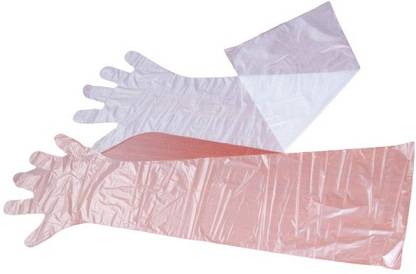 KISC Orange Colour Artificial Insemination A.I. Gloves Veterinary Polyisoprene Examination Gloves