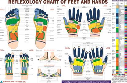 Reflexology Chart Eng. Paper Print