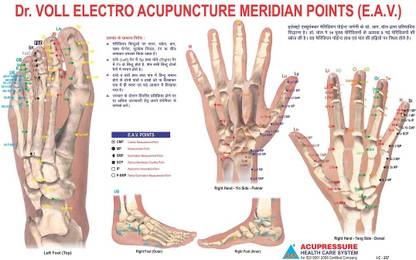 Dr. Voll Electro Acu. - Chart E.A.V. Paper Print