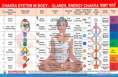 Chakra System Chart - Glands , Energy Paper Print